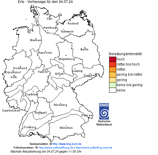Aktuelle Pollenflug-Vorhersage für Baden-Württemberg - Erle