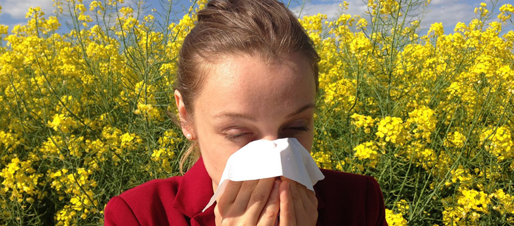 Volkskrankheit Allergie - Jeder vierte Deutsche betroffen